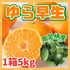 【ふるさと納税】ゆら早生 5kg 〈出荷時期：2026年11月1日出荷開始～2026年11月30日出荷終了〉｜みかん フルーツ 果物 くだもの 神奈川県 南足柄市