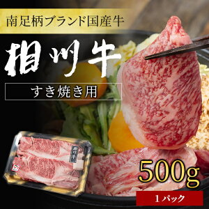 yӂ邳Ɣ[Łzr[Ly[{yY󏭋z BiĂpj 500g 쑫uh Y  ӂ邳Ɣ[ŁyĂ   uh _ސ쌧 쑫s z
