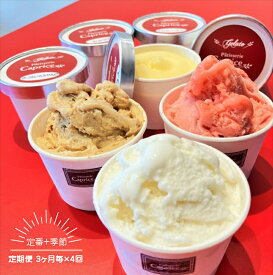 【ふるさと納税】【定期便 3ヶ月毎×4回】 洋菓子屋がつくったデザート系ジェラート（10個：定番6、季節4）×3ヶ月毎で4回 ※定番：バニラ2・イチゴ2・ハチミツナッツ2と4個は季節のもの【 デザート アイス 神奈川県 南足柄市 】