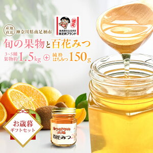 yӂ邳Ɣ[Łz{̉ʕƂ݂͂̃ZbgiΕMtgZbgjqo׎F2025N11{`2025N12{ry ݂͂ I nj[ _ސ쌧 쑫s z