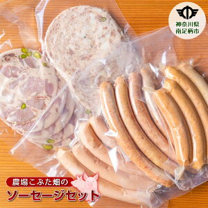 yӂ邳Ɣ[Łzr[Ly[{_ꂱԂ5\[Z[WZbgy Mtg v[g 蕨 Ԃ  _ސ쌧 쑫s z