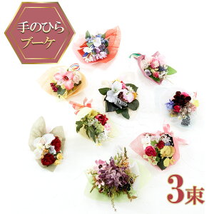 yӂ邳Ɣ[Łzyԃ~jԑẑЂu[P 3 Zbg ܂ ~ju[P CeA Ԃ̃u[P RpNg ͂Ȃ A[gt[ԑ v[g