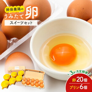 yӂ邳Ɣ[Łzy3ցz ݂  XC[c Zbg ۗ{{ ܂ 20 v 6ʎq lߍ킹 {   ܂