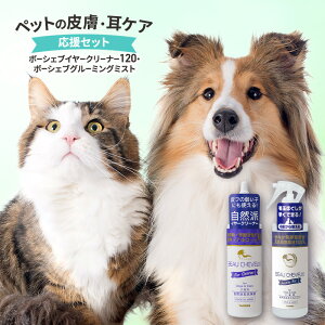 yӂ邳Ɣ[Łzybg̔畆EPA@Zbgi{[VFuC[N[i[120E{[VFuO[~O~Xgj ybgpi  L  畆   N s _ސ쌧