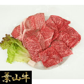 【ふるさと納税】No.024 葉山牛焼肉盛り合わせ ／ お肉 和牛 牛カルビ 牛肉 焼き肉用 上質 特産 送料無料 神奈川県