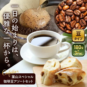 yӂ邳Ɣ[ŁzyR[q[ztRXyV蓤A\[gZbg 3pbN ^ R[q[ lߍ킹 _ސ쌧 YiyCafetierz[ASAD005]