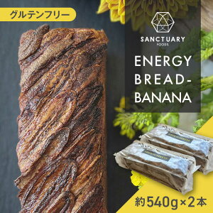 yӂ邳Ɣ[ŁzENERGY BREAD-BANANA@540g×2{ ^ ĉَq XC[c ۑsgp oii ubh Oet[ OCt[ wV[ _ސ쌧 tRySANCTUARY FOODS ()z[ASAH001]