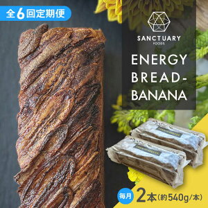 yӂ邳Ɣ[ŁzyS6ցzENERGY BREAD-BANANA@540g×2{ ^ ĉَq XC[c ۑsgp oii ubh Oet[ OCt[ wV[ Zbg _ސ쌧 tRySANCTUARY FOO
