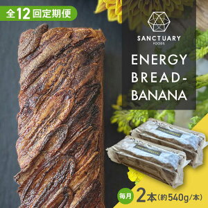 yӂ邳Ɣ[ŁzyS12ցzENERGY BREAD-BANANA@540g×2{ ^ "ĉَq XC[c ۑsgp oii ubh Oet[ OCt[ wV[ Zbg _ސ쌧 tRySANCTUARY F