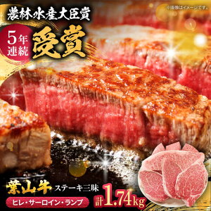 【ふるさと納税】【着日指定必須】葉山牛ステーキ三昧 計1.74kg 9枚 ( ヒレ 150g × 3枚 サーロイン 250g × 3枚 ランプ 180g × 3枚 ) 牛肉 ステーキ すてーき 葉山牛 おすすめ 人気 葉山町【(有)葉山旭