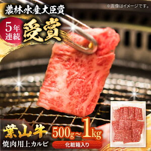【ふるさと納税】【着日指定必須】【選べる容量!】葉山牛 焼肉用上カルビ 500g〜1kg / 牛肉 牛 肉 お肉 国産 赤身肉 やきにく 焼き肉 カルビ かるび 上カルビ 上かるび BBQ ブランド牛 和牛 黒