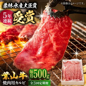 【ふるさと納税】【全3回定期便】 葉山牛 焼肉用カルビ500g / 牛肉 牛 肉 お肉 国産 赤身肉 やきにく 焼き肉 カルビ かるび BBQ ブランド牛 和牛 黒毛和牛 国産牛 贈答 ギフト 冷凍 葉山 定期 定期便 【有限会社葉山旭屋牛肉店】[ASAP038]