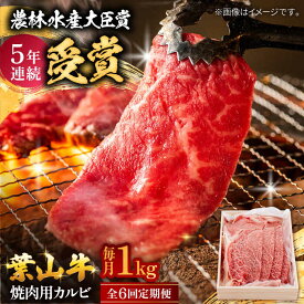 【ふるさと納税】【全6回定期便】 葉山牛 焼肉用カルビ1Kg / 牛肉 牛 肉 お肉 国産 赤身肉 やきにく 焼き肉 カルビ かるび BBQ ブランド牛 和牛 黒毛和牛 国産牛 贈答 ギフト 冷凍 葉山 定期 定期便 【有限会社葉山旭屋牛肉店】[ASAP042]