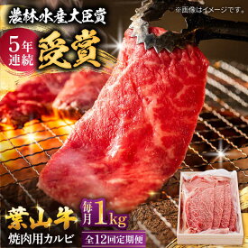 【ふるさと納税】【全12回定期便】 葉山牛 焼肉用カルビ1Kg / 牛肉 牛 肉 お肉 国産 赤身肉 やきにく 焼き肉 カルビ かるび BBQ ブランド牛 和牛 黒毛和牛 国産牛 贈答 ギフト 冷凍 葉山 定期 定期便 【有限会社葉山旭屋牛肉店】[ASAP043]