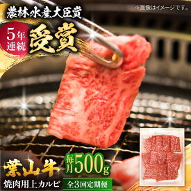 【ふるさと納税】【全3回定期便】 葉山牛 焼肉用上カルビ500g / 牛肉 牛 肉 お肉 国産 赤身肉 やきにく 焼き肉 カルビ かるび 上カルビ 上かるび BBQ ブランド牛 和牛 黒毛和牛 国産牛 贈答 ギフト 冷凍 葉山 定期 定期便 【有限会社葉山旭屋牛肉店】[ASAP044]