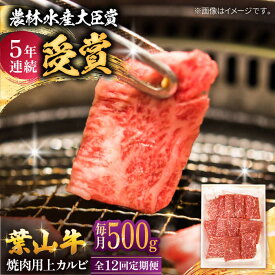 【ふるさと納税】【全12回定期便】 葉山牛 焼肉用上カルビ500g / 牛肉 牛 肉 お肉 国産 赤身肉 やきにく 焼き肉 カルビ かるび 上カルビ 上かるび BBQ ブランド牛 和牛 黒毛和牛 国産牛 贈答 ギフト 冷凍 葉山 定期 定期便 【有限会社葉山旭屋牛肉店】[ASAP046]