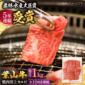 【ふるさと納税】【全12回定期便】 葉山牛 焼肉用上カルビ1Kg / 牛肉 牛 肉 お肉 国産 赤身肉 やきにく 焼き肉 カルビ かるび 上カルビ 上かるび BBQ ブランド牛 和牛 黒毛和牛 国産牛 贈答 ギフト 冷凍 葉山 定期 定期便 【有限会社葉山旭屋牛肉店】[ASAP049]