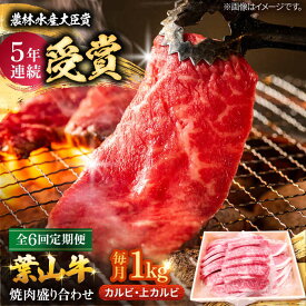 【ふるさと納税】【全6回定期便】 葉山牛 焼肉用上カルビ500g焼肉用カルビ500g / 牛肉 牛 肉 お肉 国産 赤身肉 やきにく 焼き肉 カルビ かるび 上カルビ 上かるび BBQ ブランド牛 和牛 黒毛和牛 国産牛 贈答 ギフト 【有限会社葉山旭屋牛肉店】[ASAP054]