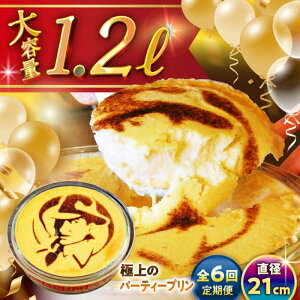 yӂ邳Ɣ[ŁzyS6ցzɏ p[eB[v ( 2kg ) e l v َq fU[g XC[c _ސ쌧 tR v[g v }[E Y  ցy(L)