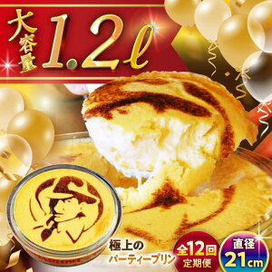 yӂ邳Ɣ[ŁzyS12ցzɏ p[eB[v ( 2kg ) e l v َq fU[g XC[c _ސ쌧 tR v[g v }[E Y  ցy(L)