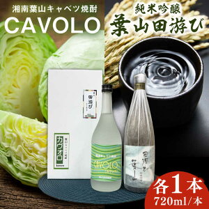 yӂ邳Ɣ[ŁzċutRcсvÓtRLxcĒuCAVOLOvZbg ^  ċ Ē { Zbg tRc CAVOLO _ސ쌧 tRyJ[Y͂z[ASBB002]