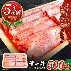 yӂ邳Ɣ[ŁzY a A5N tR [XXCX 500g A5 јa  [X XCX ₫ Ԃ Ԑg Ⓚ Ă 500O  ytRXe[LXg p