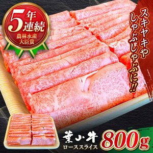 yӂ邳Ɣ[ŁzY a A5N tR [XXCX 800g A5 јa [X XCX ₫ Ԃ Ԑg Ⓚ Ă 800O  ytRXe[LXg p