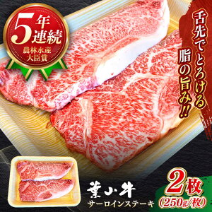 yӂ邳Ɣ[Łzy̘azY a A5N  tR T[CXe[L v500g ( 250g × 2 ) ^ A5 јa 500O T[C Xe[L Ⓚ lC  ԐgytRXe[