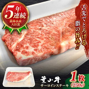 yӂ邳Ɣ[ŁzY a A5N tR T[CXe[L v250g ( 250g × 1 ) A5 јa  250O T[C Xe[L Ⓚ lC  Ԑg  ytRXe[LXg 
