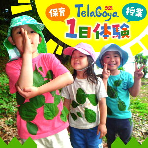 yӂ邳Ɣ[ŁzTelacoya921@ۈorƁ@1̌ `Pbg ̌ wZ qǂ ǂ wZ ANeBreBR tR _ސ yʎВc@lTelacoya921z[ASBX001]