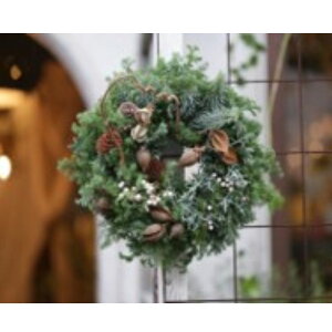 yӂ邳Ɣ[Łztsumugi2025NX}X[X x[VbN L@CeA@͂F2025N1029`1115܂