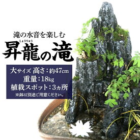 【ふるさと納税】昇龍の滝 大サイズ 滝音 ビオトープ せせらぎ 庭 バルコニー メダカ エサやり不要 癒し ガーデニング リラクゼーション アクアフォレスト 神奈川県寒川町(※鉢はついていません)