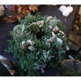 【ふるさと納税】クリスマスリース Sサイズ シルバーホワイト ※2023年11月8日～順次発送 植物 おしゃれ キレイ 癒し シック 針葉樹 白 ブラウン インテリア グリーンアイテム自宅 玄関 店舗 　お届け：2025年10月29日～11月15日まで