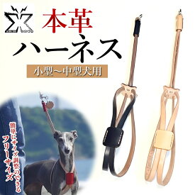 【ふるさと納税】犬用 ハーネス 胴輪 小型犬 中型犬 ナチュラル ヌメ革 レザー 本革 牛革 手作り ハンドメイド ペット用品 お散歩 お出かけ オーダーメイド 犬具 神奈川県 ギフト 贈り物 プレゼント ご褒美
