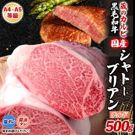 【ふるさと納税】国産黒毛和牛A4A5ランク シャトーブリアン 500g チルド 漬け込み肉 味付き肉 タレ付き 肉