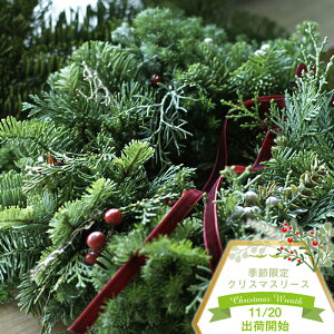 yӂ邳Ɣ[ŁzGߌNX}X[Xij~łXƂGo[O[Ɩ؂̎gݍ킹[XBtbVȐX̍Ƃ₪Ă̓hCɂȂĂ䂭F