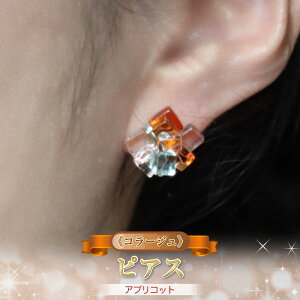yӂ邳Ɣ[ŁzsR[Wt sAXiAvRbgjy _ސ쌧 钬 fB[XWG[ t@bV a j Mtg 蕨 t@bV z