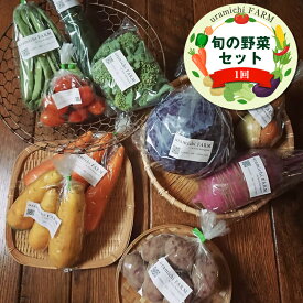 【ふるさと納税】旬の野菜セット（1回）【 神奈川県 大磯町 季節野菜セット 新鮮野菜】