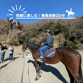 【ふるさと納税】気軽に楽しむ！乗馬体験20分【 体験 レッスン 神奈川県 大磯町 】