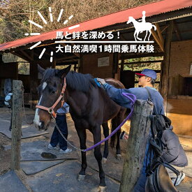【ふるさと納税】馬と絆を深める！大自然満喫1時間乗馬体験【 体験 レッスン 神奈川県 大磯町 】
