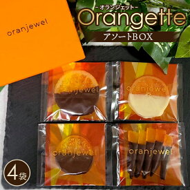 【ふるさと納税】 オランジェットアソートBOX ／スイーツ お菓子 洋菓子 チョコ チョコレート 柑橘 コンフィ ジューシー oranjewel 神奈川県 オランジェット 濃厚カカオ 香り フルーツチョコ 詰め合わせ スイーツ ギフト おやつ ティータイム 手土産 洋菓子 No.072