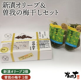 【ふるさと納税】 新漬オリーブ＆曽我の梅干しセット【かねきち】 ／ グリーンオリーブ 曾我梅林 整腸作用 醗酵食品 湘南 神奈川県 特産品 新漬オリーブ 梅干し 食塩漬け 500g 梅 まろやか 酸味 さっぱり 漬物 詰め合わせ おつまみ 和食 食卓 常温保存 伝統製法 No.076