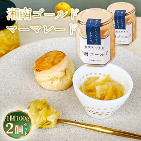 【ふるさと納税】 湘南ゴールドマーマレード100g×2個 ／ 柑橘 ビタミンC 爽やか ママレード 人気 加工食品 手作り 白砂糖不使用 ペクチン不使用 フルーツスプレッド コンフィチュール トッピング 神奈川県 柑橘ジャム 朝食トースト ヨーグルト ギフト 加工食品 No.082