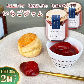 【ふるさと納税】 いちごジャム100g×2個 ／ 苺 イチゴ 苺ジャム イチゴジャム ストロベリー 人気 加工食品 手作り 白砂糖不使用 ペクチン不使用 フルーツスプレッド コンフィチュール トッピング 神奈川県産果物 神奈川県 特産品 No.083