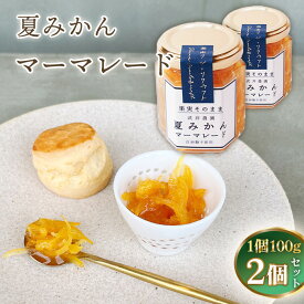 【ふるさと納税】 夏みかんマーマレード100g×2個 ／ 橘 ビタミンC 爽やか ママレード 人気 手作り 白砂糖不使用 ペクチン不使用 フルーツスプレッド コンフィチュール トッピング 神奈川県 夏みかん マーマレード ジャム トースト ヨーグルト 朝食 無添加 香り No.084