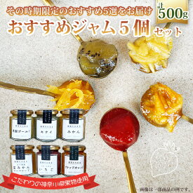 【ふるさと納税】 おすすめジャム5個セット ／ マーマレード イチゴ キウイ ブルーベリー ラズベリー 人気 加工食品 手作り 白砂糖不使用 ペクチン不使用 フルーツスプレッド コンフィチュール トッピング 詰め合わせ 食べ比べ 神奈川県産果物 神奈川県 特産品 No.089