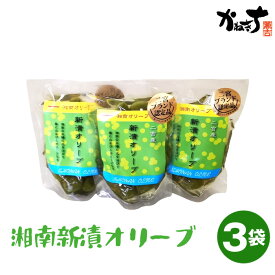 【ふるさと納税】 湘南新漬オリーブ ／ かねきち しんづけ 浅漬け あさづけ 旬 旬の食材 季節限定 若い果実 新物 オリーブ オリーブ漬け おつまみ サラダ 天ぷら 送料無料 神奈川県 特産品 No.100