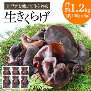 yӂ邳Ɣ[Łzːgčꂽ炰@1.2kg(200g×6p)yzsnFzy1139807z
