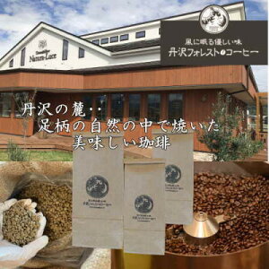 yӂ邳Ɣ[ŁzOtHXgÖ蓤() 3y1550909z