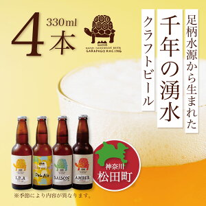 yӂ邳Ɣ[Łz_ސ쌧̃Ntgr[yGarapago racingzIXX4{Zbg